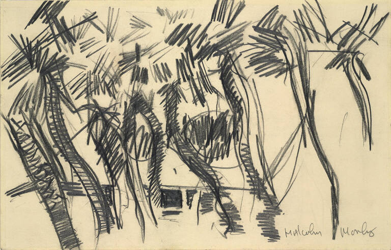 Palms - Drawing