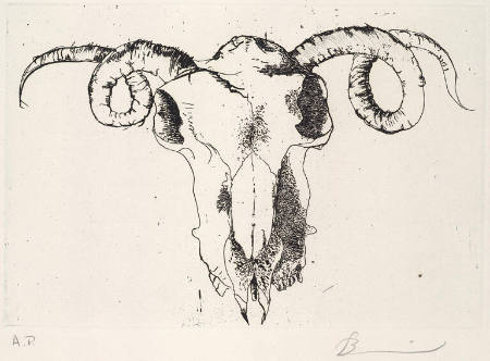 Ram's Skull, from The Hippolytos