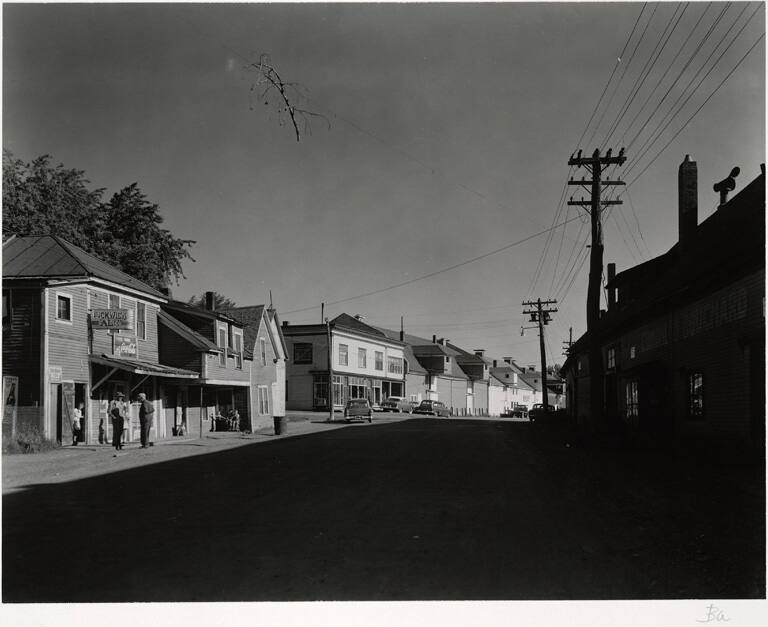 [Street with tree branch in power line, Maine]