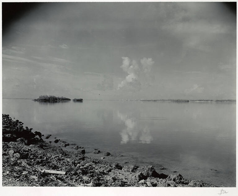 [Shore]