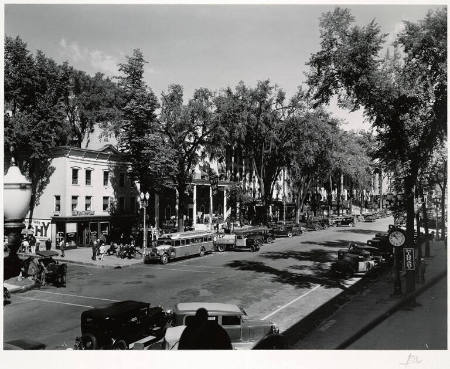 [Tree-lined commercial street, New York state]