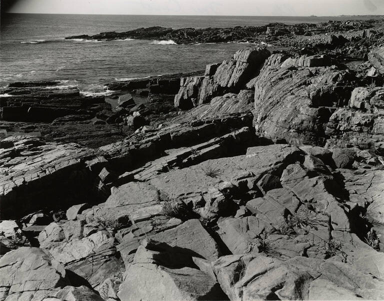 Image [Rocky coast, Maine]