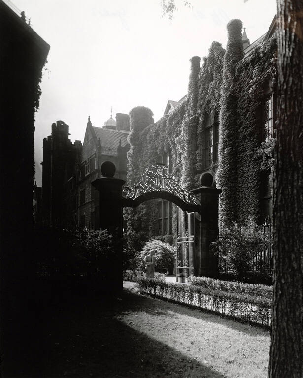 [Yale]