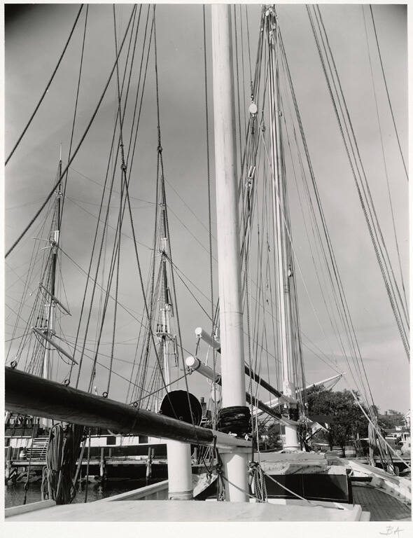 [Sailboat masts and ropes]