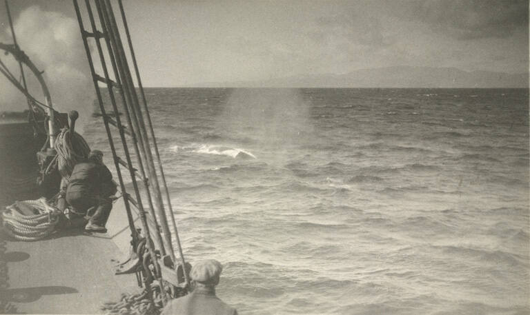 Page from the Whaling album