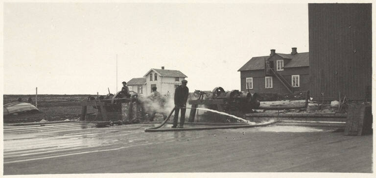 (Slip) is first washed, plate 21 from the series Whaling Fishing/The Blacksod Bay Whaling Co. Ltd.