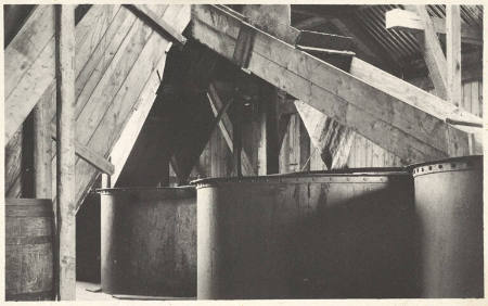 They are conveyed to the blubber boilers. First boiling takes five to eight hours, plate 30 from the series Whaling Fishing/The Blacksod Bay Whaling Co. Ltd.