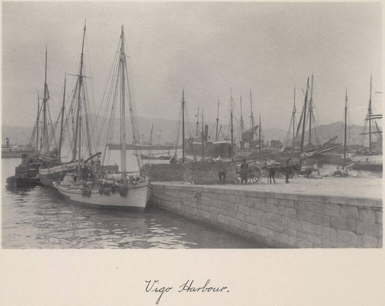 Vigo Harbour