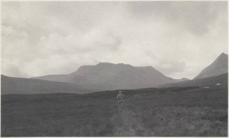 Part of Ben Alder Forest