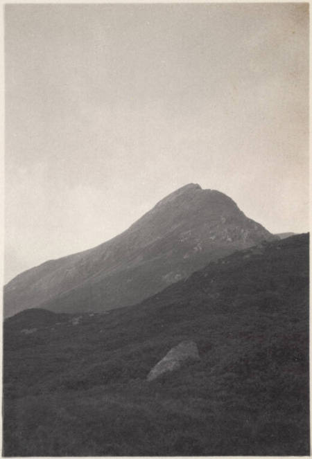 Part of Ben Alder Forest