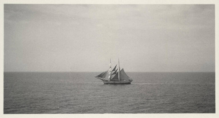 [Sailboat at sea]
