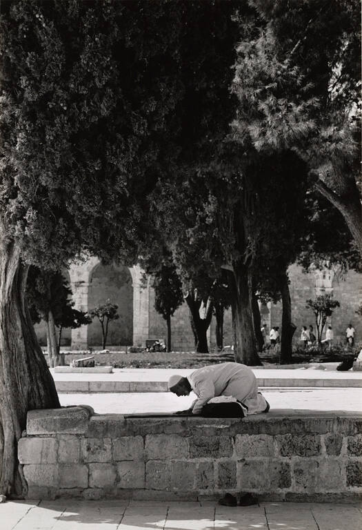Midday prayers, Al Aqsa grounds, from the portfolio Jerusalem: City of Mankind
