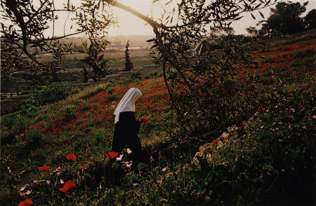 Benedictine nun, Mount of Olives, from the portfolio Jerusalem: City of Mankind