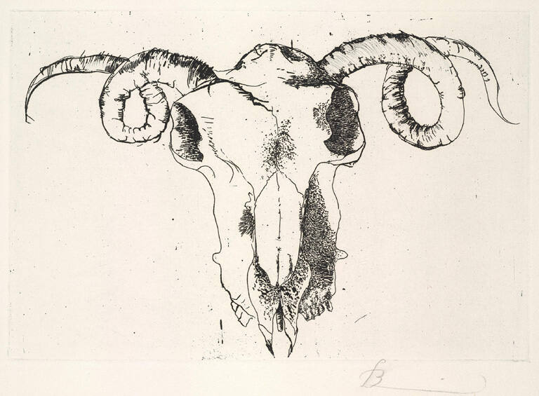 Ram's Skull, from The Hippolytos