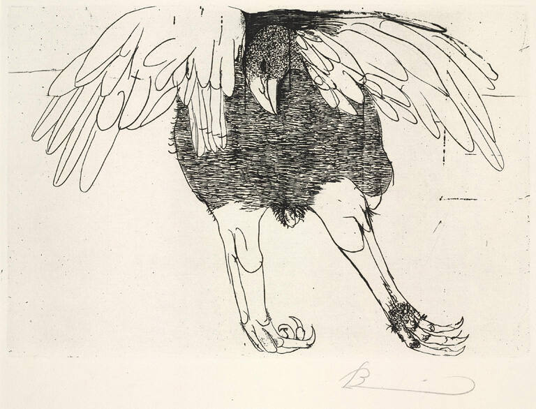 Eagle, from The Hippolytos