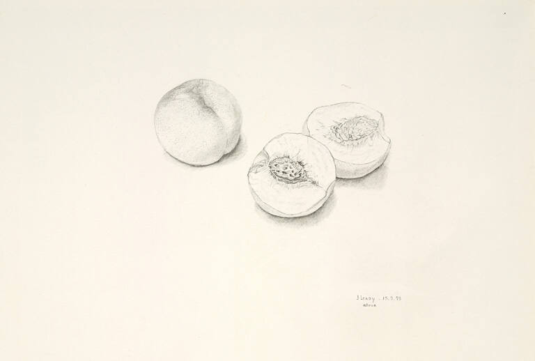 Untitled (peaches; portrait of a girl on verso)