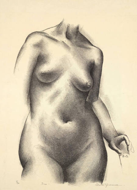 Torso