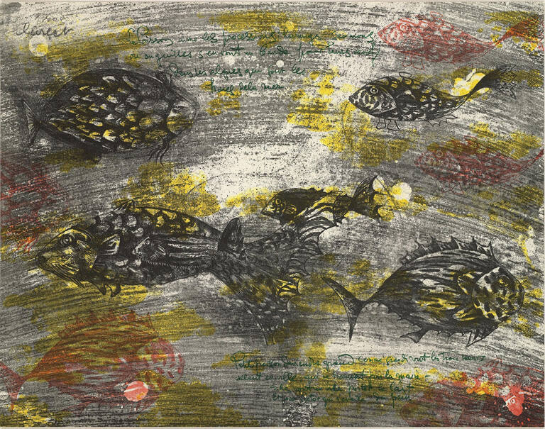 Petit Poisson Deviends-Grande...