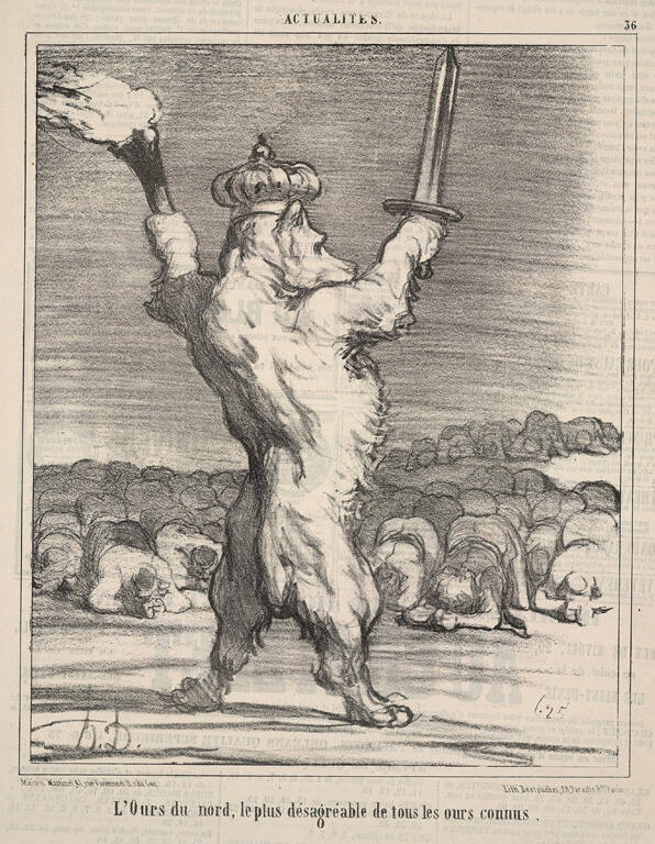 Actualités - L'Ours du nord, le plus desagréable de tous les ours connus