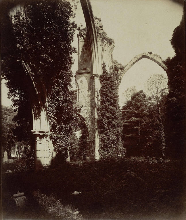 Ruines de l'Abbaye de Dammarie-Lys