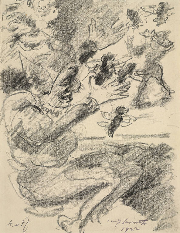 Gulliver in Combat Against the Flies