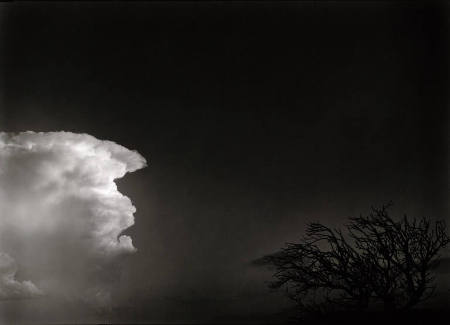 Cloud and tree, New Mexico