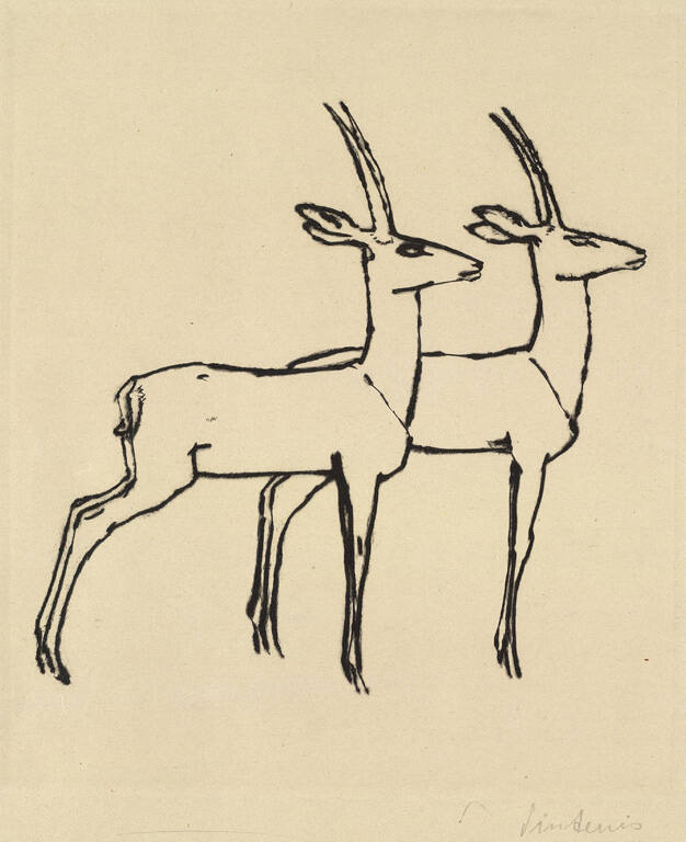 Two Deer