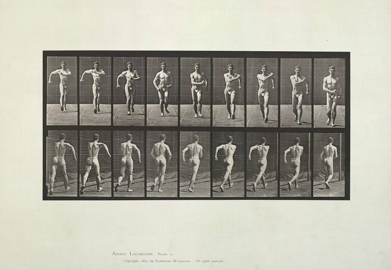 Walking, Plate 3 from Animal Locomotion