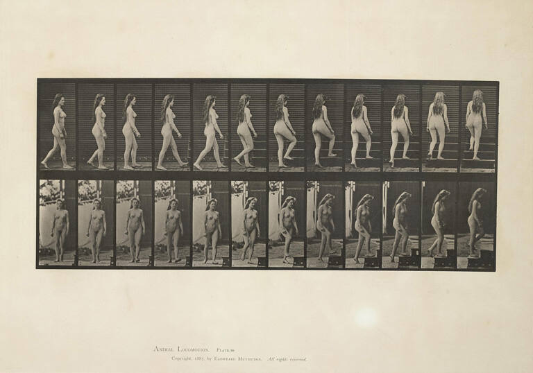 Turning and ascending stairs, Plate 99 from Animal Locomotion