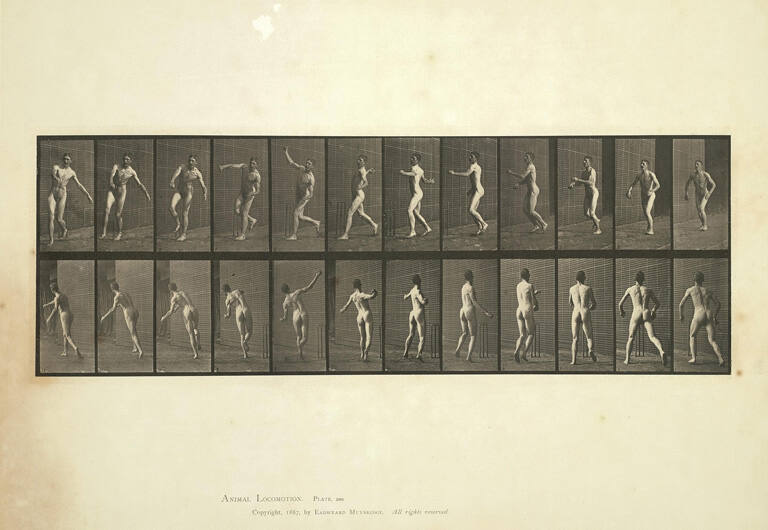 Cricket; over arm bowling, Plate 290 from Animal Locomotion
