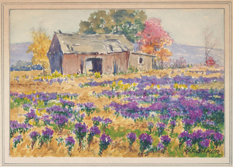 Field of Flowers with a Barn