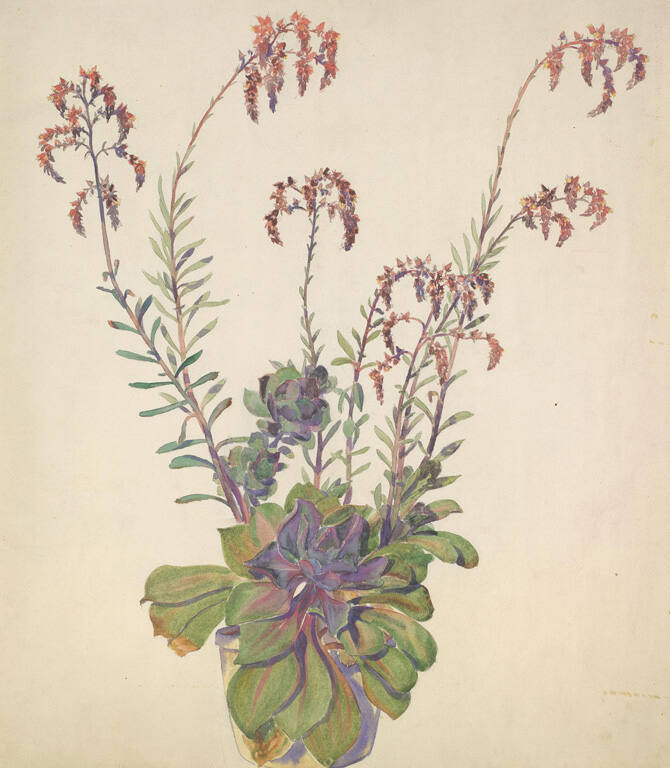 Pot of Flowers/Sketch with people