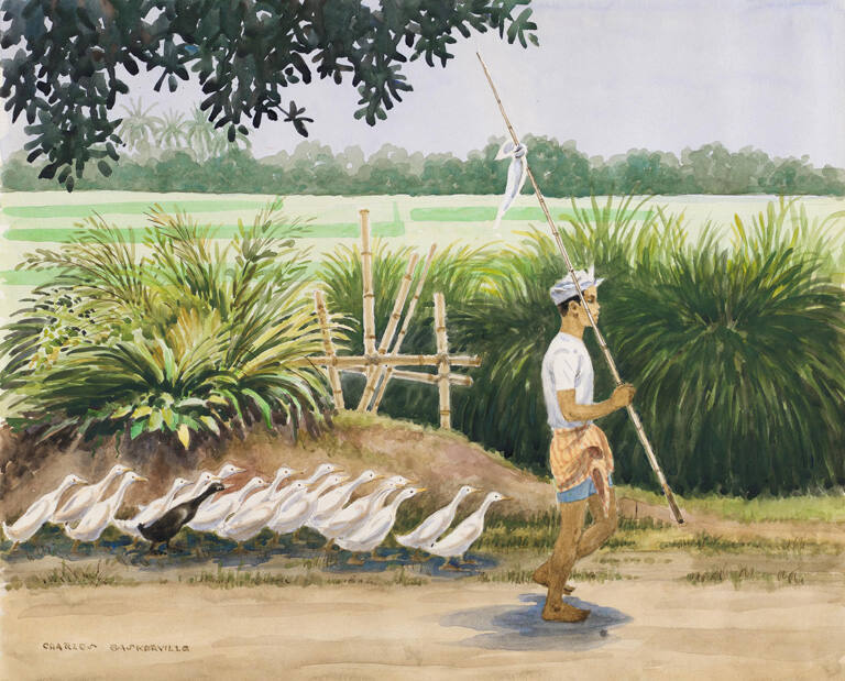 Boy with Ducks