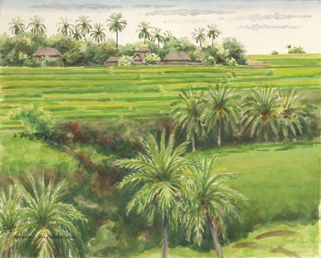Balinese Fields with Palm Trees