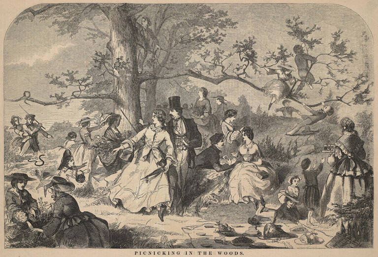 Picnicking in the Woods, published in Harper's Weekly