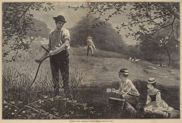 Making Hay, published in Harper's Weekly