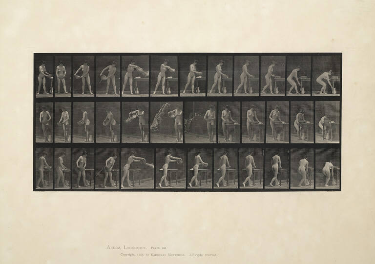 Emptying basin of water, Plate 402 from Animal Locomotion