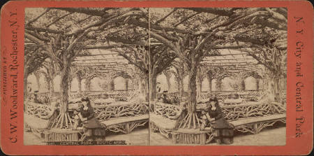 1421. Central Park. Rustic Arbor, N.Y. City and Central Park