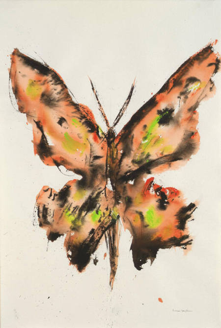 Moth