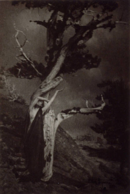 Anne W. Brigman