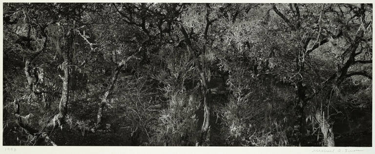 Near Hopland, California,  82-9304-01/6 #2