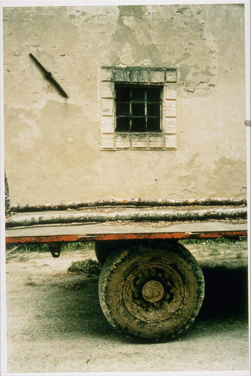 Window 1996