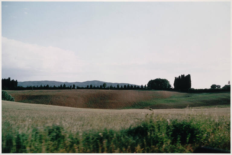 Hillside 1996