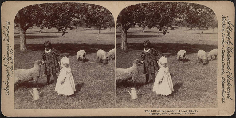 The Little Shepherds and their Flocks