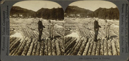Logging Scene in Norway