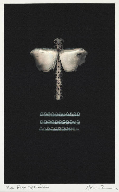 The Rare Specimen, from the portfolio Momento Mori