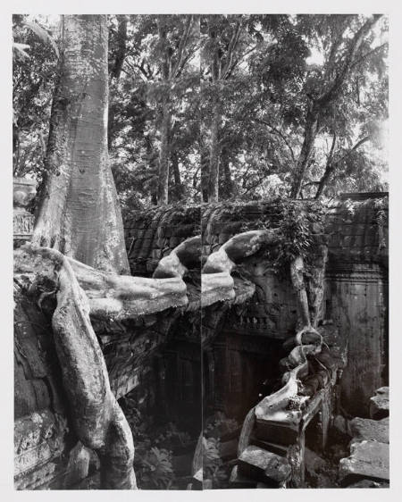 Ta Prohm, Angkor Wat, plate V from portfolio Angkor Wat, Cambodia: Vision of the God-Kings