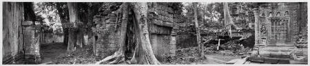 Angkor Wat (courtyard/tree diptych), plate VIII from portfolio Angkor Wat, Cambodia: Vision of the God-Kings