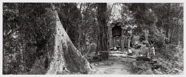 Angkor Wat (path by banyan), plate XV from portfolio Angkor Wat, Cambodia: Vision of the God-Kings