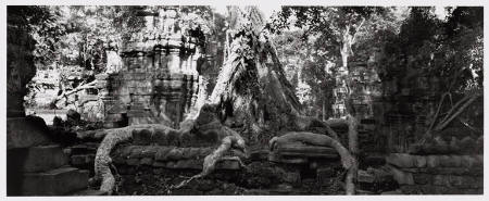 Angkor Wat, Preah Khan (tree root consuming ruins), plate XX from portfolio Angkor Wat, Cambodia: Vision of the God-Kings